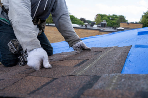 Best Storm Damage Roof Repair  in Mayo, SC